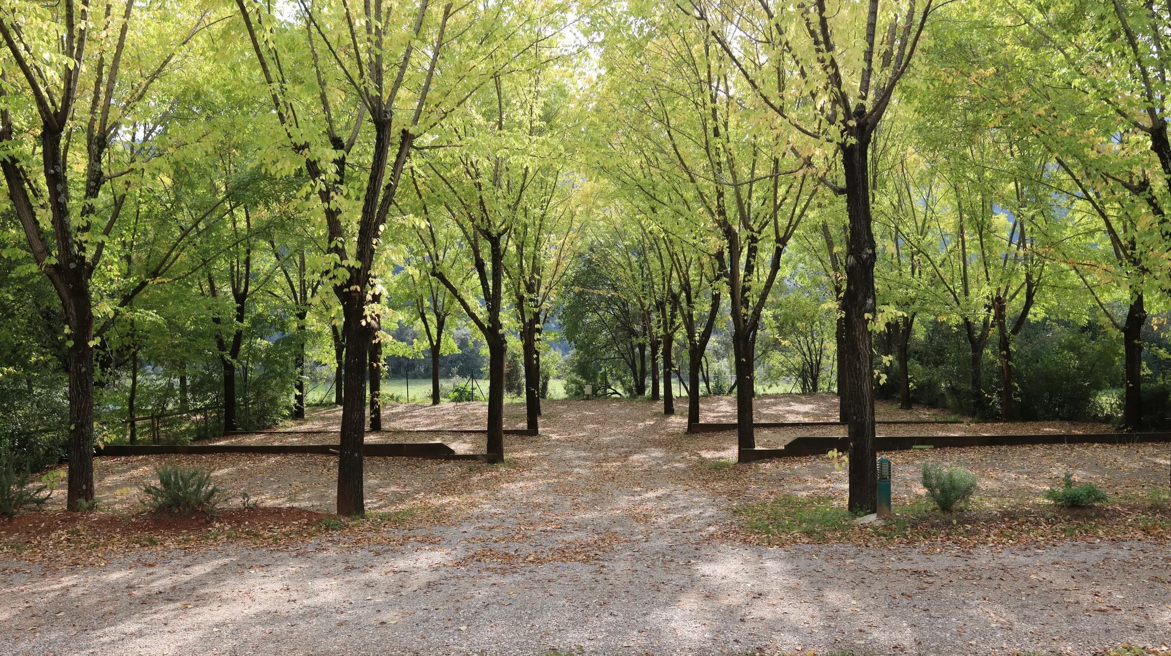 Parcel·les planes de grava sota fileres d'arbres, separades per travesses de fusta