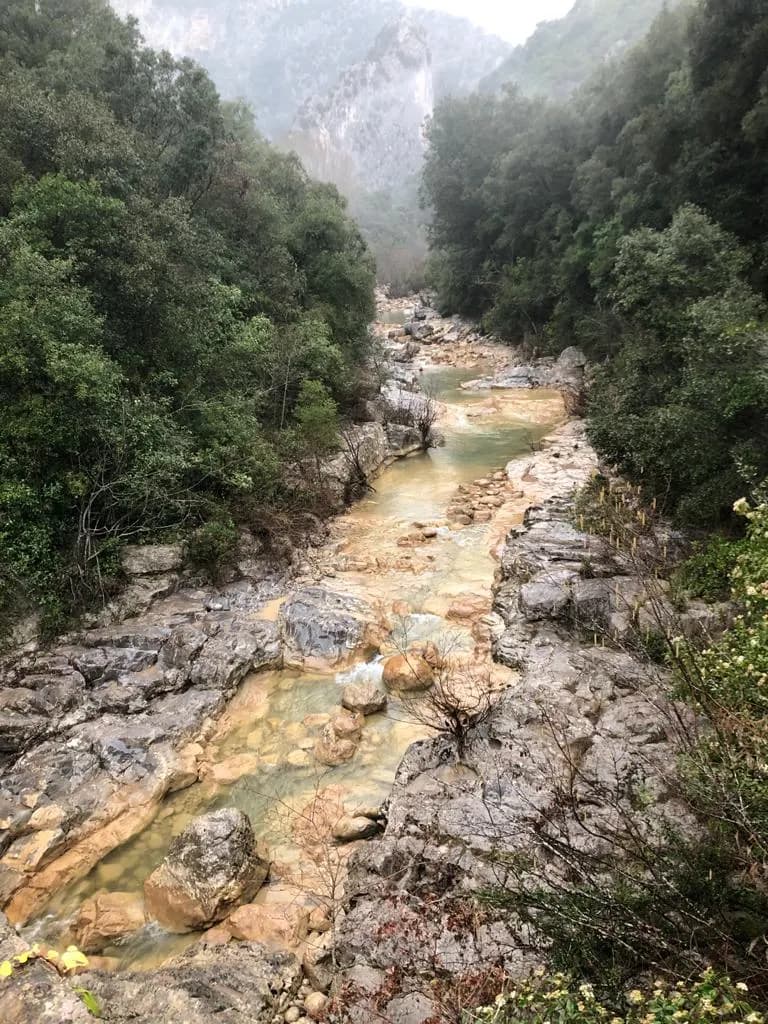 La riera de Sant Aniol