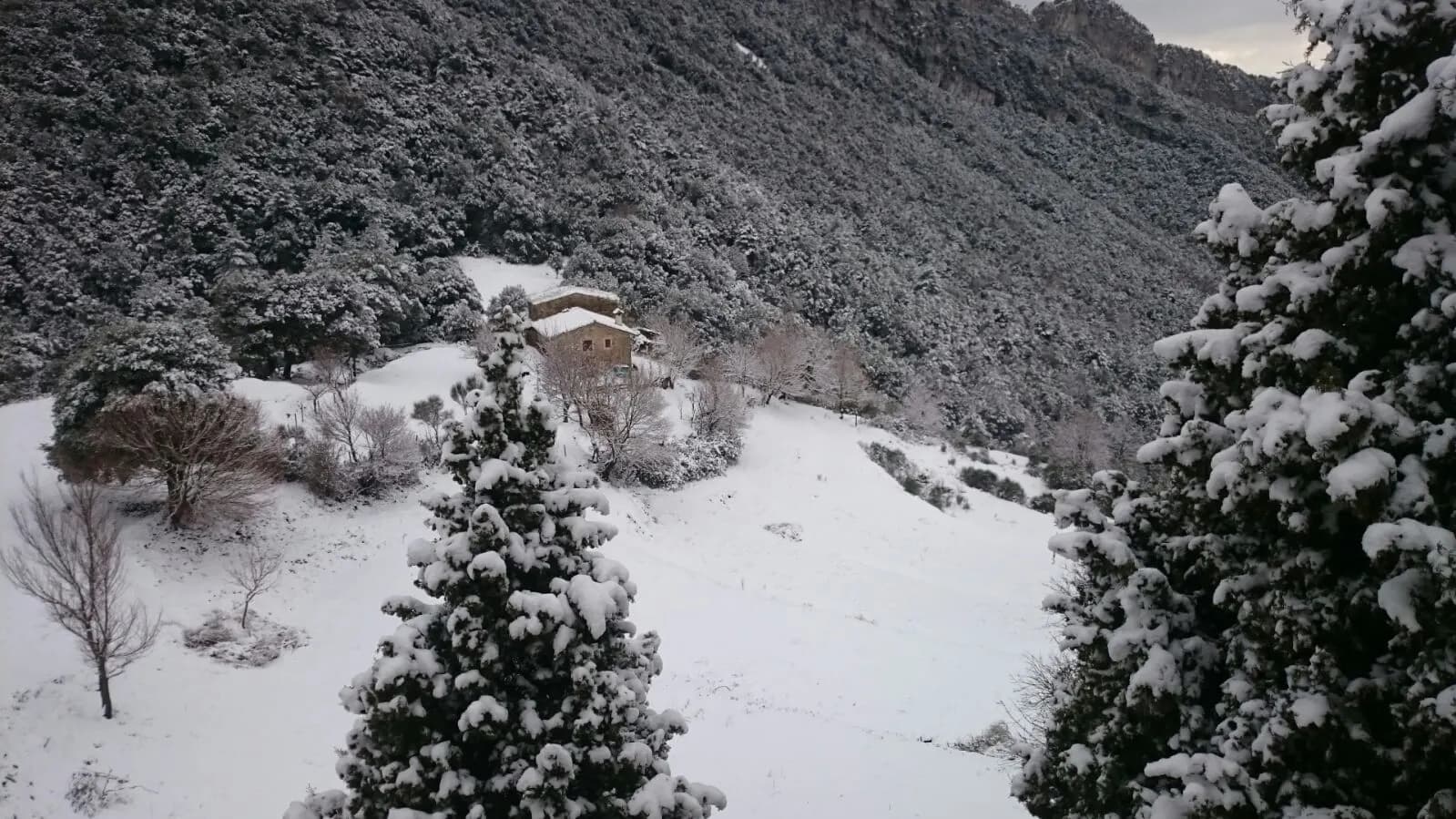 Talaixà nevat, amb les cases entre el bosc