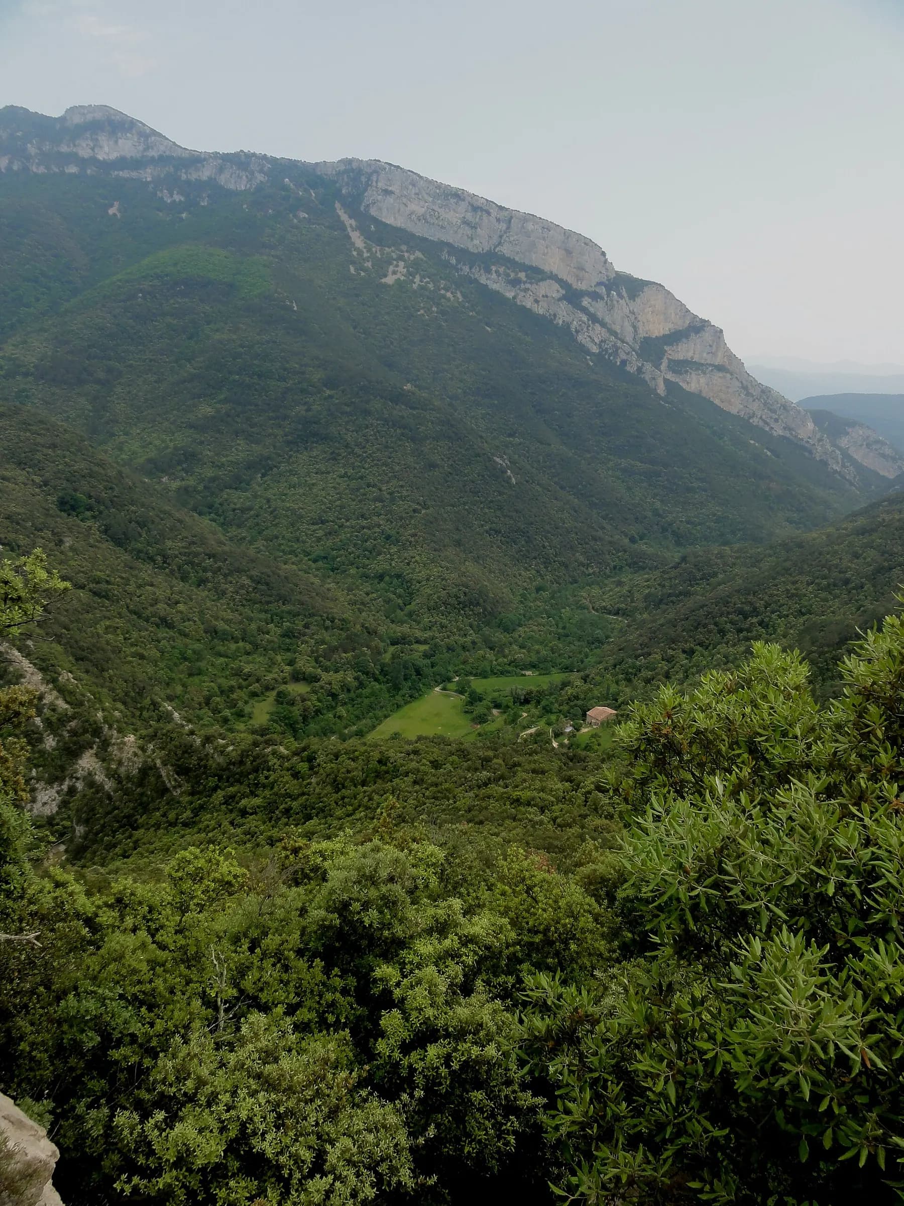 La riera de Sant Aniol als peus dels cingles de Gitarriu