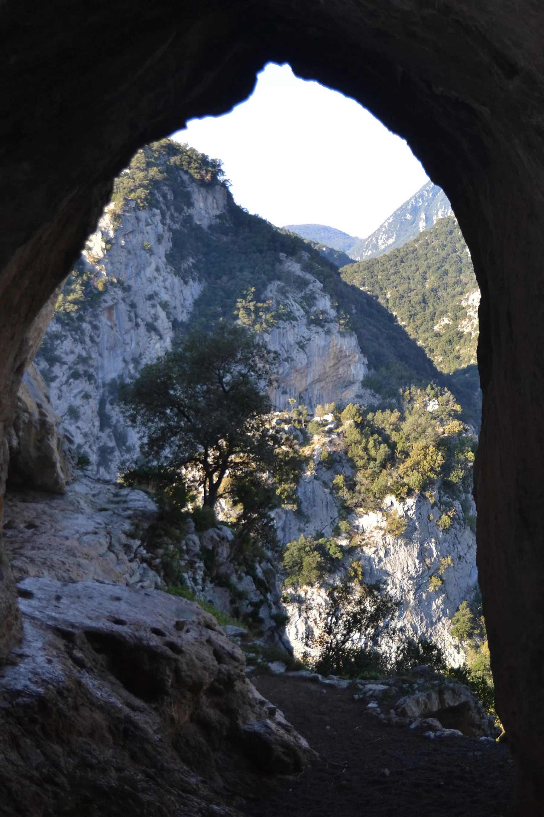 Les parets de calcària vistes des de la Cova del Bisbe