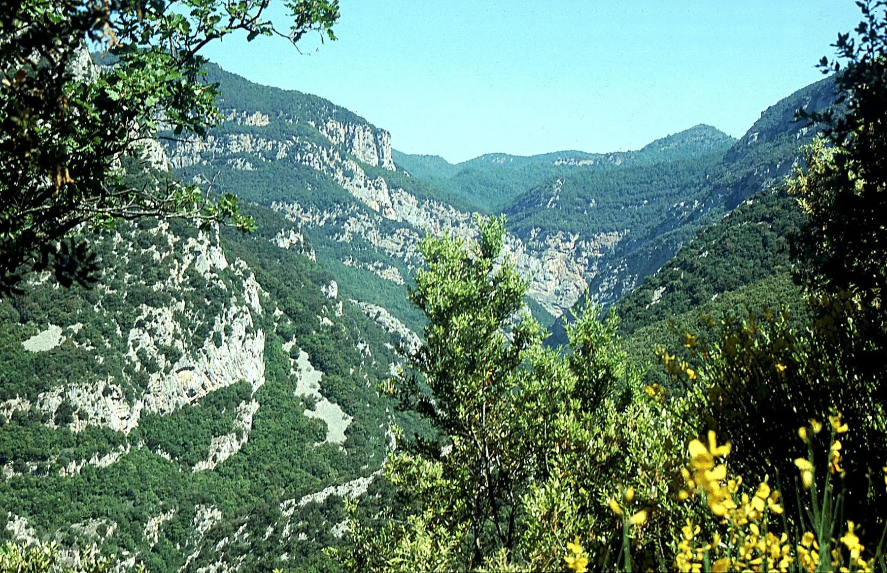 Parets de calcària sobre la vall de Sant Aniol