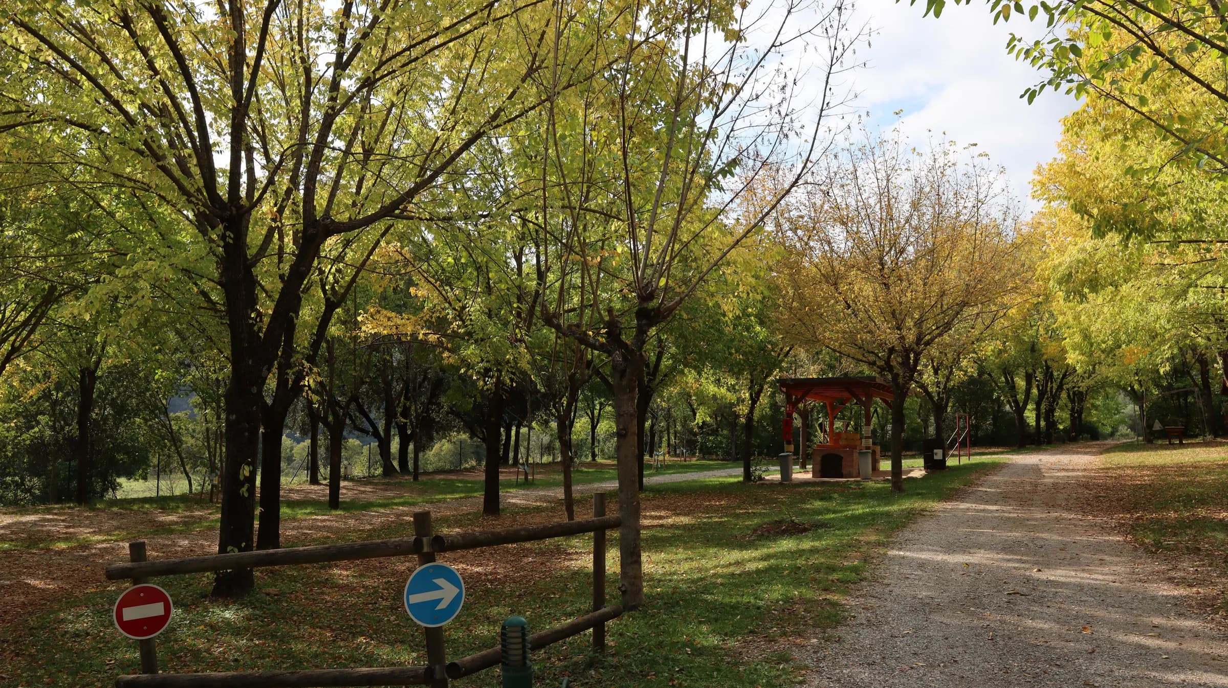 Camí del càmping entre arbres, amb parcel·les a banda i banda i un porxo al fons
